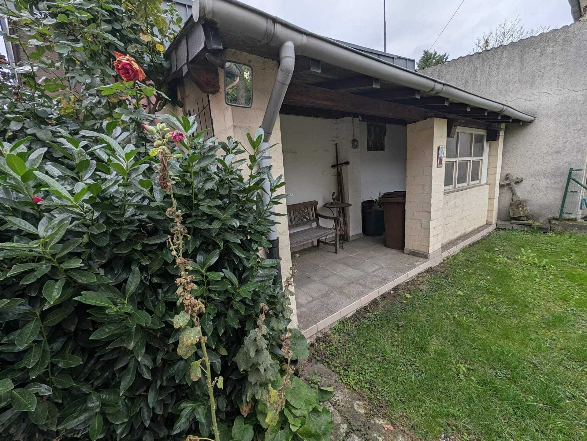 Image 13