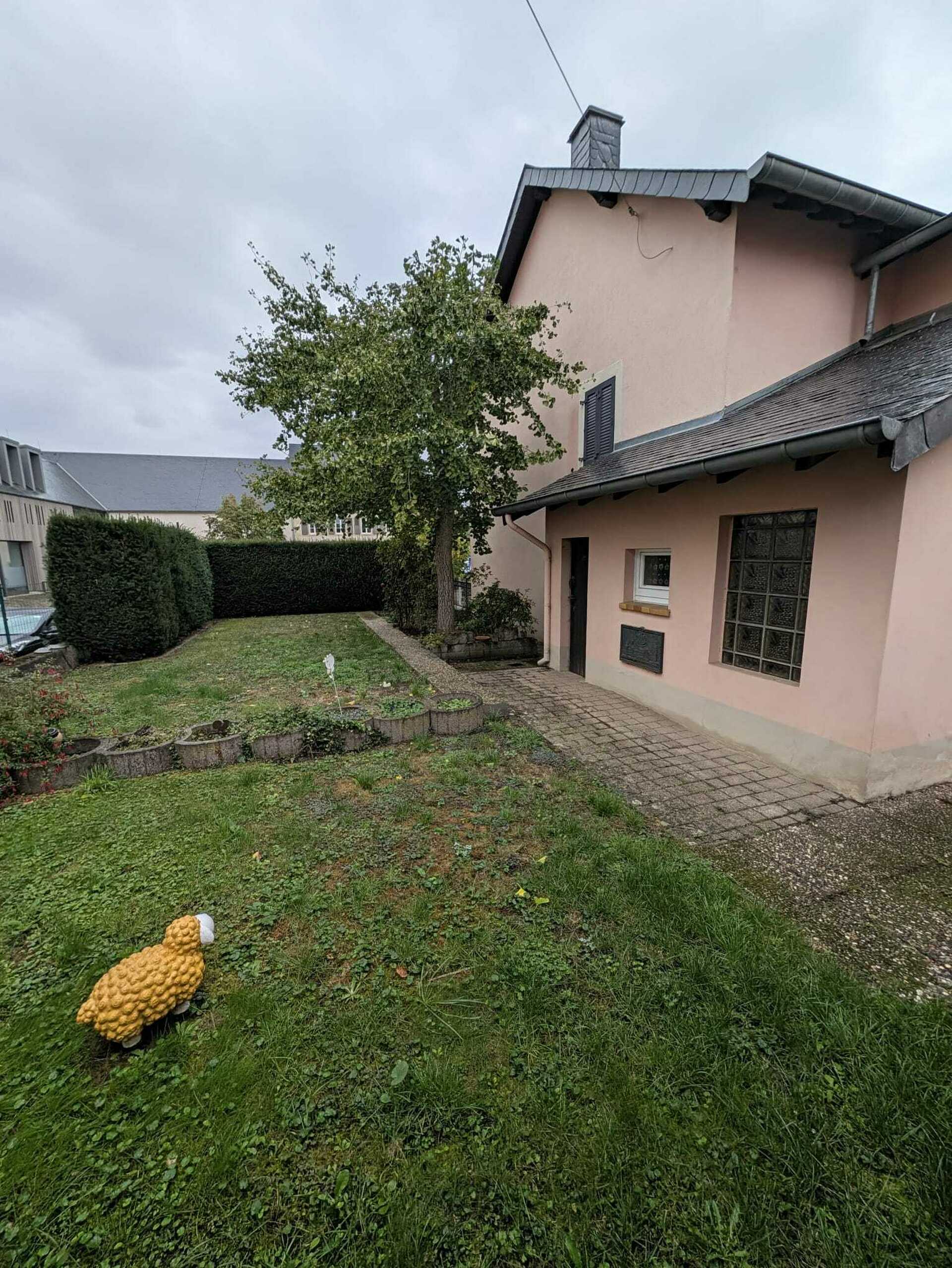 Image 15